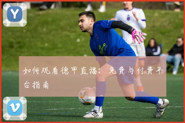 如何观看德甲直播：免费与付费平台指南