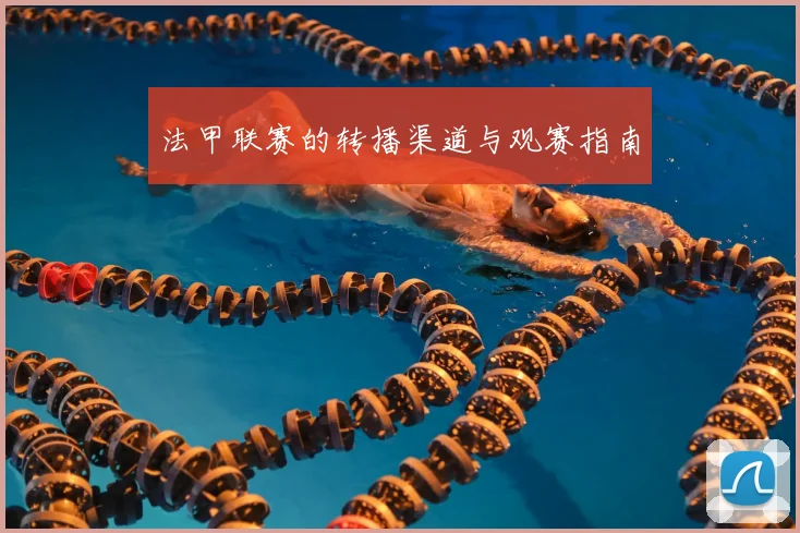 法甲联赛的转播渠道与观赛指南